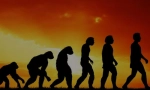 Evolucijski dokazi